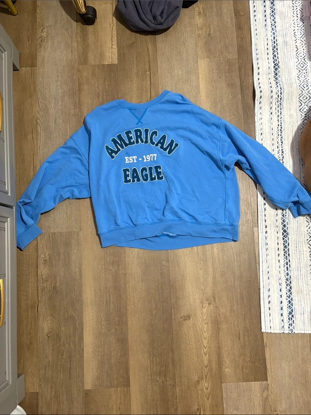 American Eagle Outfitters Light Blue Crewneck Sweatshirt with Back Logo